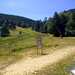 Cliquez pour agrandir l'image de la Webcam ax.ski/20250717131506840.jpg