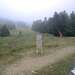 Cliquez pour agrandir l'image de la Webcam ax.ski/20250719131507294.jpg