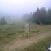 Cliquez pour agrandir l'image de la Webcam ax.ski/20250719171505916.jpg