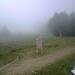 Cliquez pour agrandir l'image de la Webcam ax.ski/20250725081507515.jpg