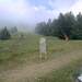 Cliquez pour agrandir l'image de la Webcam ax.ski/20250726081503550.jpg