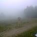 Cliquez pour agrandir l'image de la Webcam ax.ski/20250728081506218.jpg