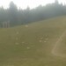 Cliquez pour agrandir l'image de la Webcam ax.ski/20250728131507602.jpg