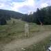 Cliquez pour agrandir l'image de la Webcam ax.ski/20250729081506297.jpg