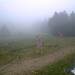 Cliquez pour agrandir l'image de la Webcam ax.ski/20250730081507205.jpg