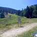 Cliquez pour agrandir l'image de la Webcam ax.ski/20250803131505502.jpg