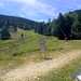 Cliquez pour agrandir l'image de la Webcam ax.ski/20250804131503956.jpg