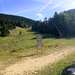 Cliquez pour agrandir l'image de la Webcam ax.ski/20250804171505671.jpg