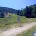 Cliquez pour agrandir l'image de la Webcam ax.ski/20250805131507481.jpg