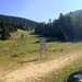 Cliquez pour agrandir l'image de la Webcam ax.ski/20250805171505192.jpg