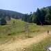 Cliquez pour agrandir l'image de la Webcam ax.ski/20250810131504906.jpg