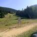 Cliquez pour agrandir l'image de la Webcam ax.ski/20250810171507036.jpg