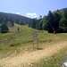 Cliquez pour agrandir l'image de la Webcam ax.ski/20250811131505571.jpg