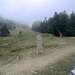Cliquez pour agrandir l'image de la Webcam ax.ski/20250819171504508.jpg