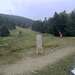Cliquez pour agrandir l'image de la Webcam ax.ski/20250820131507277.jpg