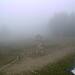 Cliquez pour agrandir l'image de la Webcam ax.ski/20250821131503352.jpg