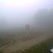 Cliquez pour agrandir l'image de la Webcam ax.ski/20250822081505929.jpg