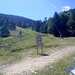 Cliquez pour agrandir l'image de la Webcam ax.ski/20250823131503906.jpg