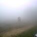 Cliquez pour agrandir l'image de la Webcam ax.ski/20250908081506038.jpg