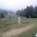 Cliquez pour agrandir l'image de la Webcam ax.ski/20250908131508039.jpg