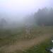 Cliquez pour agrandir l'image de la Webcam ax.ski/20250908171504532.jpg