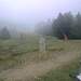 Cliquez pour agrandir l'image de la Webcam ax.ski/20250909131506612.jpg