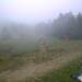 Cliquez pour agrandir l'image de la Webcam ax.ski/20250911101503410.jpg