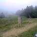 Cliquez pour agrandir l'image de la Webcam ax.ski/20250912171504206.jpg
