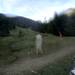 Cliquez pour agrandir l'image de la Webcam ax.ski/20250914081506650.jpg
