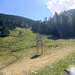 Cliquez pour agrandir l'image de la Webcam ax.ski/20250914151503246.jpg