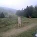 Cliquez pour agrandir l'image de la Webcam ax.ski/20250916081503325.jpg