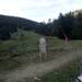 Cliquez pour agrandir l'image de la Webcam ax.ski/20250917081503156.jpg