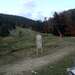Cliquez pour agrandir l'image de la Webcam ax.ski/20251015081505270.jpg