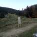 Cliquez pour agrandir l'image de la Webcam ax.ski/20251017081506451.jpg