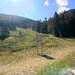 Cliquez pour agrandir l'image de la Webcam ax.ski/20251017131505695.jpg