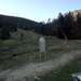 Cliquez pour agrandir l'image de la Webcam ax.ski/20251018101505129.jpg