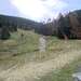 Cliquez pour agrandir l'image de la Webcam ax.ski/20251019131504818.jpg