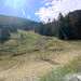 Cliquez pour agrandir l'image de la Webcam ax.ski/20251021131504137.jpg