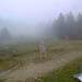 Cliquez pour agrandir l'image de la Webcam ax.ski/20251023101507234.jpg
