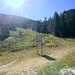 Cliquez pour agrandir l'image de la Webcam ax.ski/20251024131504701.jpg