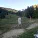 Cliquez pour agrandir l'image de la Webcam ax.ski/20260525081504147.jpg