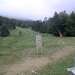Cliquez pour agrandir l'image de la Webcam ax.ski/20260605131504294.jpg