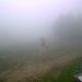 Cliquez pour agrandir l'image de la Webcam ax.ski/20260610081503733.jpg