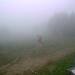 Cliquez pour agrandir l'image de la Webcam ax.ski/20260610131505860.jpg