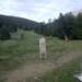 Cliquez pour agrandir l'image de la Webcam ax.ski/20260611081503653.jpg