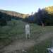 Cliquez pour agrandir l'image de la Webcam ax.ski/20260612081504518.jpg