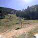 Cliquez pour agrandir l'image de la Webcam ax.ski/20260913151504169.jpg