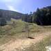 Cliquez pour agrandir l'image de la Webcam ax.ski/20260919131506039.jpg