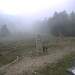 Cliquez pour agrandir l'image de la Webcam ax.ski/20261008151503214.jpg