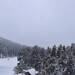 Cliquez pour agrandir l'image de la Webcam cambre-d-aze.com/20250323131504199.jpg
